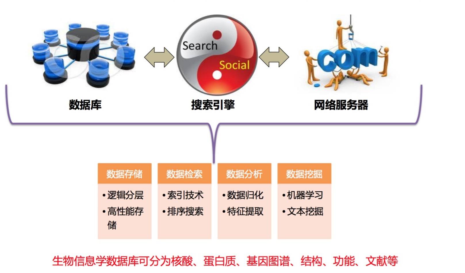 生信计算100+ 数据库：涉及蛋白、代谢、GWAS、动植物、病毒、细菌...